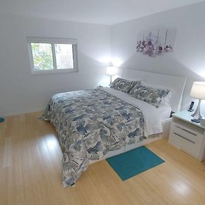 Suite Standarde
